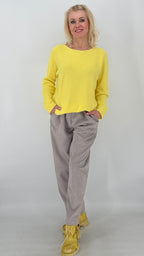 Hose Veloursleder-Optik in Grau